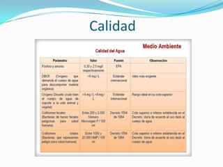 Calidad