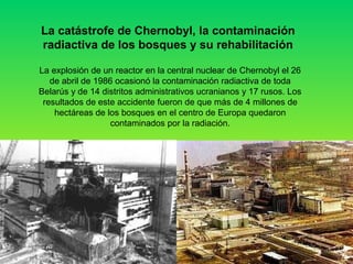 La catástrofe de Chernobyl, la contaminación 
radiactiva de los bosques y su rehabilitación 
La explosión de un reactor en la central nuclear de Chernobyl el 26 
de abril de 1986 ocasionó la contaminación radiactiva de toda 
Belarús y de 14 distritos administrativos ucranianos y 17 rusos. Los 
resultados de este accidente fueron de que más de 4 millones de 
hectáreas de los bosques en el centro de Europa quedaron 
contaminados por la radiación. 
 