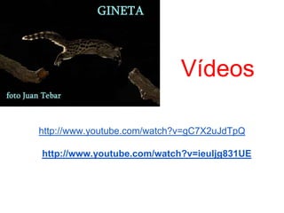 Vídeos

http://www.youtube.com/watch?v=gC7X2uJdTpQ

http://www.youtube.com/watch?v=ieuIjg831UE
 