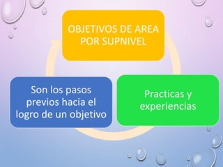 OBJETIVOS DE AREA
POR SUPNIVEL
Practicas y
experiencias
Son los pasos
previos hacia el
logro de un objetivo
 