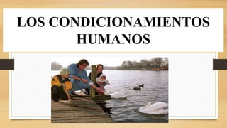 Grupo 4 ecologia