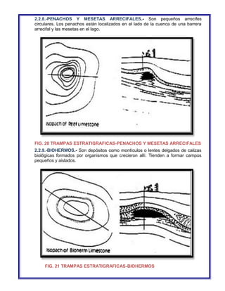 2.2.8.-PENACHOS Y MESETAS ARRECIFALES.- Son pequeños arrecifes 
circulares. Los penachos están localizados en el lado de la cuenca de una barrera 
arrecifal y las mesetas en el lago. 
FIG. 20 TRAMPAS ESTRATIGRAFICAS-PENACHOS Y MESETAS ARRECIFALES 
2.2.9.-BIOHERMOS.- Son depósitos como montículos o lentes delgados de calizas 
biológicas formados por organismos que crecieron allí. Tienden a formar campos 
pequeños y aislados. 
FIG. 21 TRAMPAS ESTRATIGRAFICAS-BIOHERMOS 
 
