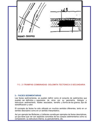 FIG. 29 TRAMPAS COMBINADAS- DOLOMITA TECTONICA O SECUNDARIA 
3.- FACIES SEDIMENTARIAS 
Las facies sedimentarias, se pueden definir como el conjunto de sedimentos que 
pueden ser definidos y separados de otros por su geometría, litología y 
estructura sedimentaria, fósiles asociados, tamaño y forma de los granos, tipo de 
estratificación y color. 
El concepto de facies ha sido utilizado en muchos sentidos diferentes, tanto en un 
sentido descriptivo como en un sentido interpretativo. 
Así por ejemplo las Biofacies y Litofacies constituyen ejemplos de facies descriptivas, 
ya que tiene que ver con aspectos concretos de los cuerpos sedimentarios como su 
composición, su estructura interna, su granulometría, etc. 
 