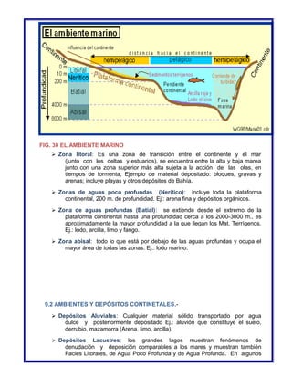 FIG. 30 EL AMBIENTE MARINO 
 Zona litoral: Es una zona de transición entre el continente y el mar 
(junto con los deltas y estuarios), se encuentra entre la alta y baja marea 
junto con una zona superior más alta sujeta a la acción de las olas, en 
tiempos de tormenta, Ejemplo de material depositado: bloques, gravas y 
arenas; incluye playas y otros depósitos de Bahía. 
 Zonas de aguas poco profundas (Nerítico): incluye toda la plataforma 
continental, 200 m. de profundidad. Ej.: arena fina y depósitos orgánicos. 
 Zona de aguas profundas (Batial): se extiende desde el extremo de la 
plataforma continental hasta una profundidad cerca a los 2000-3000 m., es 
aproximadamente la mayor profundidad a la que llegan los Mat. Terrígenos. 
Ej.: lodo, arcilla, limo y fango. 
 Zona abisal: todo lo que está por debajo de las aguas profundas y ocupa el 
mayor área de todas las zonas. Ej.: lodo marino. 
9.2 AMBIENTES Y DEPÓSITOS CONTINETALES.- 
 Depósitos Aluviales: Cualquier material sólido transportado por agua 
dulce y posteriormente depositado Ej.: aluvión que constituye el suelo, 
derrubio, mazamorra (Arena, limo, arcilla). 
 Depósitos Lacustres: los grandes lagos muestran fenómenos de 
denudación y deposición comparables a los mares y muestran también 
Facies Litorales, de Agua Poco Profunda y de Agua Profunda. En algunos 
 