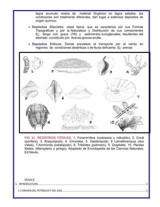 lagos acumula: restos de material Orgánico en lagos salados, las 
condiciones son totalmente diferentes, dan lugar a extensos depósitos de 
origen químico. 
 Depósitos Glaciales: clase típica, que se caracteriza por sus Formas 
Topográficas y por la Naturaleza y Distribución de sus componentes 
Ej.: fango con grava (Till) y sedimentos luvioglaciales, resultantes del 
deshielo, constituido por: Arenas-gravas-arcilla. 
 Depósitos Eólicos: Donde prevalece el transporte por el viento en 
regiones de condiciones desérticas o de lluvia deficiente. Ej.: arenas 
FIG 31. REGISTROS FÓSILES. 1. Foraminífera (nodosaria y miliodido), 2. Coral 
(porífera), 3. Braquiópodo, 4. Crinoidea, 5. Gasterópodo, 6 Lamelibranquia (dos 
vistas), 7.Ammonita (cefalópodo), 8. Trilobites (polímero), 9. Graptolito, 10. Plantas 
fósiles. (Mariopteris y ginkgo). Adaptado de Enciclopedia de las Ciencias Naturales, 
Ed.Nauta. 
INDICE 
1.- INTRODUCCION....................................................................................................................................................1 
1.1 ORIGEN DEL PETROLEO Y DEL GAS...................................................................................................................1 
 