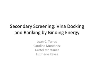 Secondary Screening: Vina Docking
  and Ranking by Binding Energy
            Juan C. Torres
          Carolina Montanez
           Gretel Montanez
           Luzmarie Reyes
 