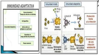 Sistema inmune | PDF