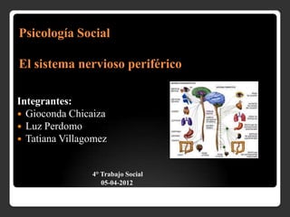 Psicología Social

El sistema nervioso periférico

Integrantes:
 Gioconda Chicaiza
 Luz Perdomo
 Tatiana Villagomez



                4° Trabajo Social
                   05-04-2012
 