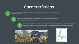 Características
Es un ecosistema único en el planeta debido a sus condiciones ambientales, se clasifica como un ecosistema
montañoso intertropical.
Tiene una función tan importante como la de retener el agua y mantener su equilibro entre los
aportes y las pérdidas dentro del ecosistema.
1
2
3
Este ecosistema montañoso cuenta con una geología con un relieve irregular, accidentado y áspero. Sus suelos son de
origen volcánico y son de un color oscuro debido a este origen y a la gran cantidad de materia orgánica que queda
enterrada.
 