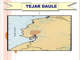 TEJAR DAULE 