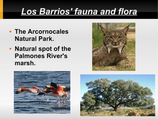 Los Barrios' fauna and flora

   The Arcornocales
    Natural Park.
   Natural spot of the
    Palmones River's
    marsh.
 