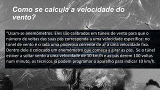 Como se calcula a velocidade do
vento?
“Usam-se anemómetros. Eles são calibrados em túneis de vento para que o
número de voltas das suas pás corresponda a uma velocidade específica: no
túnel de vento é criada uma poderosa corrente de ar a uma velocidade fixa.
Dentro dele é colocado um anemómetro que começa a girar as pás. Se o túnel
estiver a soltar vento a uma velocidade de 10 km/h e as pás derem 100 voltas
num minuto, os técnicos já podem programar o aparelho para indicar 10 km/h.
 
