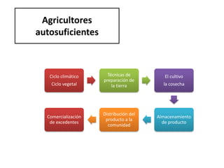 Agricultores
autosuficientes
Ciclo climático
Ciclo vegetal
Técnicas de
preparación de
la tierra
El cultivo
la cosecha
Almacenamiento
de producto
Distribución del
producto a la
comunidad
Comercialización
de excedentes
 