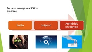 Factores ecológicos abióticos
químicos
Suelo oxigeno
Anhídrido
carbónico
 
