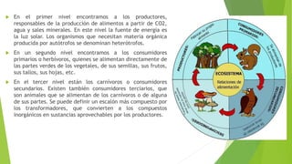  En el primer nivel encontramos a los productores,
responsables de la producción de alimentos a partir de CO2,
agua y sales minerales. En este nivel la fuente de energía es
la luz solar. Los organismos que necesitan materia orgánica
producida por autótrofos se denominan heterótrofos.
 En un segundo nivel encontramos a los consumidores
primarios o herbívoros, quienes se alimentan directamente de
las partes verdes de los vegetales, de sus semillas, sus frutos,
sus tallos, sus hojas, etc.
 En el tercer nivel están los carnívoros o consumidores
secundarios. Existen también consumidores terciarios, que
son animales que se alimentan de los carnívoros o de alguna
de sus partes. Se puede definir un escalón más compuesto por
los transformadores, que convierten a los compuestos
inorgánicos en sustancias aprovechables por los productores.
 