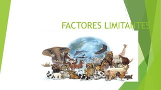 FACTORES LIMITANTES
 