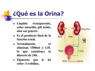 ¿Qué es la Orina?
 Líquido transparente,
color amarillo, pH ácido,
olor sui géneris.
 Es el producto final de la
función renal.
 Normalmente se
eliminan 1500ml o 1,5L
lo que constituye la
diuresis de 24h.
 Pigmento que le da
color: Urobilina.
 
