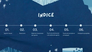 INDICE
01. 02. 03. 04.
Agente causal
05. 06.
Reservorio Modo de transmisión
del agente
Puerta de eliminación
o de salida del agente
Puerta de entrada en
el huésped
Huésped susceptible
 