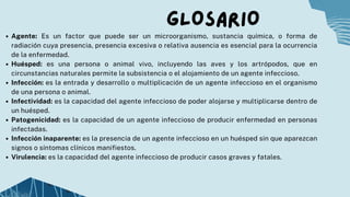 GLOSARIO
Agente: Es un factor que puede ser un microorganismo, sustancia química, o forma de
radiación cuya presencia, presencia excesiva o relativa ausencia es esencial para la ocurrencia
de la enfermedad.
Huésped: es una persona o animal vivo, incluyendo las aves y los artrópodos, que en
circunstancias naturales permite la subsistencia o el alojamiento de un agente infeccioso.
Infección: es la entrada y desarrollo o multiplicación de un agente infeccioso en el organismo
de una persona o animal.
Infectividad: es la capacidad del agente infeccioso de poder alojarse y multiplicarse dentro de
un huésped.
Patogenicidad: es la capacidad de un agente infeccioso de producir enfermedad en personas
infectadas.
Infección inaparente: es la presencia de un agente infeccioso en un huésped sin que aparezcan
signos o síntomas clínicos manifiestos.
Virulencia: es la capacidad del agente infeccioso de producir casos graves y fatales.
 