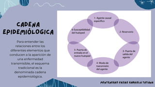 CADENA
EPIDEMIÓLOGICA
Para entender las
relaciones entre los
diferentes elementos que
conducen a la aparición de
una enfermedad
transmisible, el esquema
tradicional es la
denominada cadena
epidemiológica.
MONTENEGRO FREIRE GABRIELA TATIANA
 