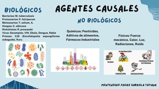 AGENTES CAUSALES
Químicos­
: Pesticidas,
Aditivos de alimentos,
Fármacos Industriales
Bacterias: M. tuberculosis
Protozoarios: P. falciparum
Metazoarios: T. solium, A.
Hongos: C. albicans
Rickettsias: R. prowazeki
Virus: Sarampión, VIH, Ebola, Dengue, Rabia
Priones: CJD (Encefalopatía espongiforme
subaguda), Kuru
Físicos: Fuerza
mecánica, Calor, Luz,
Radiaciones, Ruido
BIOLÓGICOS
NO BIOLÓGICOS
MONTENEGRO FREIRE GABRIELA TATIANA
 