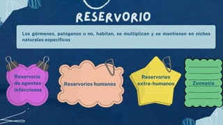 Reservorios humanos
Reservorio
Reservorio
de agentes
infecciosos
Los gérmenes, patógenos o no, habitan, se multiplican y se mantienen en nichos
naturales específicos
Reservorios
extra-humanos Zoonosis
 