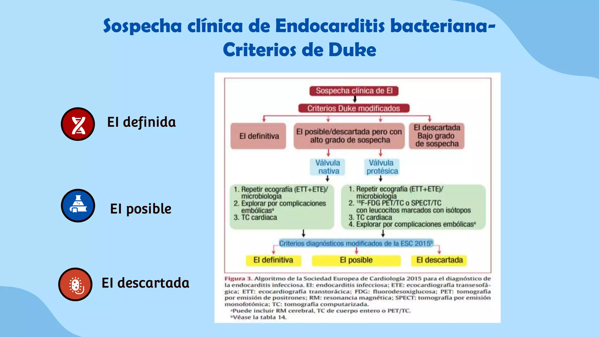 Endocarditis T ENDOCARDITIS INFECCIOSA.pptx