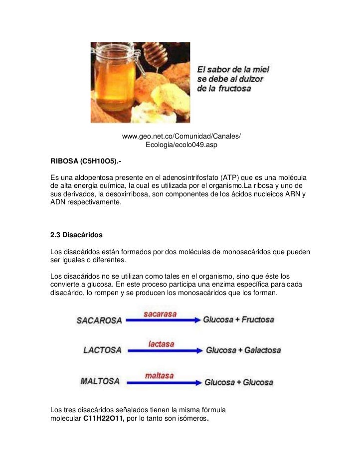 Grupo 5 carbohidratos estructura y funcion