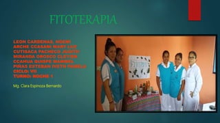 FITOTERAPIA
LEON CARDENAS, NOEMI
ARCHE CCASANI MARY LUZ
CUTISACA PACHECO JUDITH
MIRANDA OROSCO CLEYIEN
CCAHUA QUISPE MARIBEL
PIÑAS ESTEBAN IVETH PAMELA
CICLO: VII
TURNO: NOCHE 1
Mg. Clara Espinoza Bernardo
 