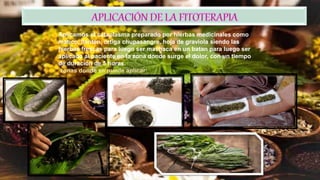 Aplicamos el cataplasma preparado por hierbas medicinales como
matico, llanten, ortiga chupasangre, hoja de graviola siendo las
hierbas frescas para luego ser machaca en un batan para luego ser
aplicado al paciente en la zona donde surge el dolor, con un tiempo
de duración de 5 horas.
zonas donde se puede aplicar:
 