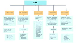 PAE
VALORACIÓN DIAGNÓSTICO PLANIFICACIÓN EJECUCIÓN EVALUACIÓN
Se debe tener encuenta:
La capacidad de cambio
esta en la familia, la
enfermera puede y
ladebe ofrecer ayuda la
aceptación depende de
la familia.
Actividad basada en la
ciencia de enfermería
que la profesional
realiza para garantizar
resultados que
evidencien un cuidado
de calidad humana.
El juicio clínico sobre
las respuestas humanas
de una persona,familia
o comunidad,
problemas de salud
reales.
Debe tener en
cuenta:
la puesta en practica
del plan e cuidados las
nesecidadese son
cambiantes por lo tanto
la recogida y valoracion
de datos debe ser
continua.
TÉCNICAS PARA
OBTENCIÓN DE
DATOS
NANDA
DeterminaciÓn
de prioridades.
Formulación de
objetivos.
Determinación
de actividades.
Determinación
de los recursos
disponibles.
Plan de acción
centrado en el
cliente.
Registro del plan
de cuidados de
enfermería.
se considera de interes
colectivo.
Observación
Comunicación
Medición y
cuantificación
Más de 560
intervenciones
de enfermería
(NIC)
13 dominios
47 clases
236
diagnósticos
de enfermería
7 dominios o
campos
32 clases
mas de 490
resultados de
enfermeria
Se clasifica en:
/
 