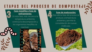 Fase de maduración:
Esta última fase del proceso se
produce a temperatura
ambiente y permite la
consolidación de nuevas
moléculas.
Fase mesófila o Fase de
enfriamiento:
En esta fase, más cercana a la
temperatura ambiente,
continúa la descomposición y
los organismos mesófilos se
reactivan.
etapas del proceso de compostaje
 