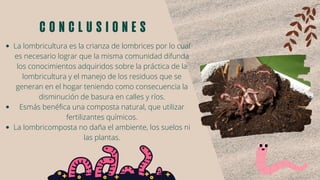 La lombricultura es la crianza de lombrices por lo cual
es necesario lograr que la misma comunidad difunda
los conocimientos adquiridos sobre la práctica de la
lombricultura y el manejo de los residuos que se
generan en el hogar teniendo como consecuencia la
disminución de basura en calles y ríos.
Esmás benéfica una composta natural, que utilizar
fertilizantes químicos.
La lombricomposta no daña el ambiente, los suelos ni
las plantas.
conclusiones
 