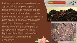 La lombricultura es una alternativa
agroecológica empleada para la
transformación de residuos sólidos
mediante el accionar directo de las
lombrices de tierra, como una técnica
para producir abono orgánico para
suelos y cultivos así como una
biotecnología importante para el
reciclaje de desechos sólidos y
líquidos, obteniéndose beneficios
ecológicos y un remanente
económico.
 