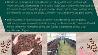 Desde los tiempos de Charles Darwin, en el siglo XIX se ha destacado la
importancia de la lombriz de tierra como factor que mantiene la fertilidad de
los suelos, los caminos y las galerías subterráneas que excavan las lombrices,
aumentan la porosidad del suelo y lo hacen más aireado y apto para cultivo.
Definitivamente, la lombricultura convierte los desechos en composta,
reduciendo la contaminación de la basura y conllevando a la conservación del
medio ambiente. Asimismo, como una fuente de proteína animal y de
equilibrio ecológico.
 