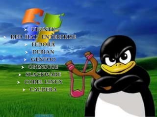      XUBUNTU