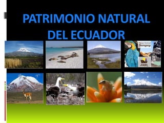 PATRIMONIO NATURAL
DEL ECUADOR
 