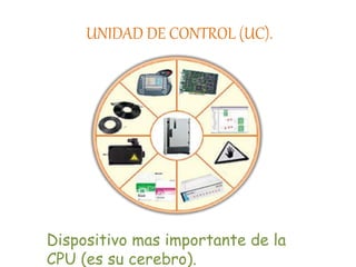 UNIDAD DE CONTROL (UC).
Dispositivo mas importante de la
CPU (es su cerebro).
 