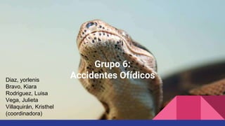 Grupo 6:
Accidentes OfídicosDiaz, yorlenis
Bravo, Kiara
Rodriguez, Luisa
Vega, Julieta
Villaquirán, Kristhel
(coordinadora)
 