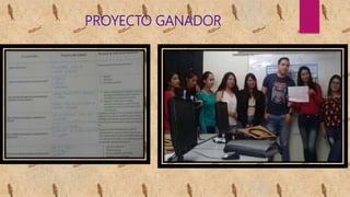 PROYECTO GANADOR
 