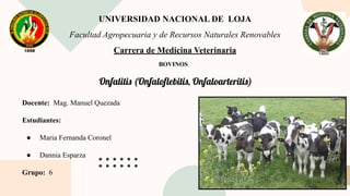 UNIVERSIDAD NACIONAL DE LOJA
Facultad Agropecuaria y de Recursos Naturales Renovables
Carrera de Medicina Veterinaria
BOVINOS
Onfalitis (Onfaloﬂebitis, Onfaloarteritis)
Docente: Mag. Manuel Quezada
Estudiantes:
● Maria Fernanda Coronel
● Dannia Esparza
Grupo: 6
 