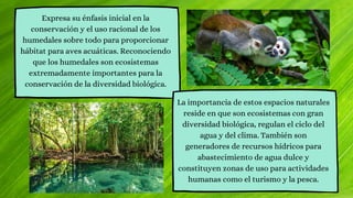 Expresa su énfasis inicial en la
conservación y el uso racional de los
humedales sobre todo para proporcionar
hábitat para aves acuáticas. Reconociendo
que los humedales son ecosistemas
extremadamente importantes para la
conservación de la diversidad biológica.
La importancia de estos espacios naturales
reside en que son ecosistemas con gran
diversidad biológica, regulan el ciclo del
agua y del clima. También son
generadores de recursos hídricos para
abastecimiento de agua dulce y
constituyen zonas de uso para actividades
humanas como el turismo y la pesca.
 