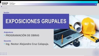 Asignatura
Docente
Sesión
• PROGRAMACIÓN DE OBRAS
• Ing. Nestor Alejandro Cruz Calapuja.
EXPOSICIONES GRUPALES
 