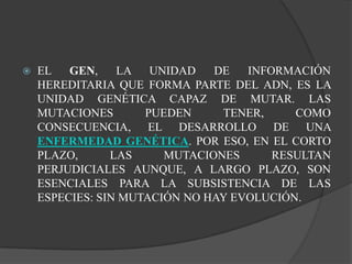 El gen, la unidad de información hereditaria que forma parte del ADN, es la unidad genética capaz de mutar. Las mutaciones pueden tener, como consecuencia, el desarrollo de una enfermedad genética. Por eso, en el corto plazo, las mutaciones resultan perjudiciales aunque, a largo plazo, son esenciales para la subsistencia de las especies: sin mutación no hay evolución.
