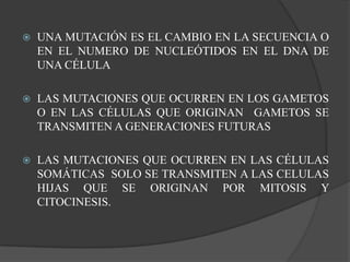 Una mutación es el cambio en la secuencia o en el numero de nucleótidos en el DNA de una célulaLas mutaciones que ocurren en los gametos o en las células que originan  gametos se transmiten a generaciones futuras Las mutaciones que ocurren en las células somáticas  SOLO SE TRANSMITEN A LAS CELULAS HIJAS QUE SE ORIGINAN POR MITOSIS Y CITOCINESIS.