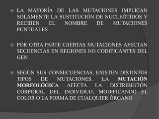 La mayoría de las mutaciones implican solamente la sustitución de nucleótidos y reciben el nombre de mutaciones puntualesPOR OTRA PARTE CIIERTAS MUTACIONES AFECTAN SECUENCIAS EN REGIONES NO CODIFICANTES DEL GEN Según sus consecuencias, existen distintos tipos de mutaciones. La mutación morfológica afecta la distribución corporal del individuo, modificando el color o la forma de cualquier órgano