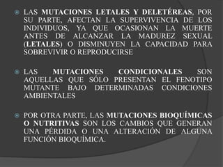 Las mutaciones letales y deletéreas, por su parte, afectan la supervivencia de los individuos, ya que ocasionan la muerte antes de alcanzar la madurez sexual (letales) o disminuyen la capacidad para sobrevivir o reproducirseLas mutaciones condicionales son aquellas que sólo presentan el fenotipo mutante bajo determinadas condiciones ambientalesPor otra parte, las mutaciones bioquímicas o nutritivas son los cambios que generan una pérdida o una alteración de alguna función bioquímica.