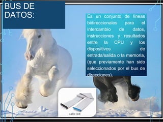 BUS DE
DATOS:

Es un conjunto de líneas
bidireccionales
para
el
intercambio
de
datos,
instrucciones y resultados
entre la CPU y los
dispositivos
de
entrada/salida o la memoria,
(que previamente han sido
seleccionados por el bus de
direcciones).

 