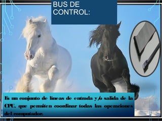 BUS DE
CONTROL:

E un conjunto de líneas de entrada y/ salida de la
s
o
CP que permiten coordinar todas las operaciones
U,
del computador.

 