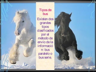 Tipos de
bus
Existen dos
grandes
tipos
clasificados
por el
método de
envío de la
informació
n: bus
paralelo o
bus serie.

 